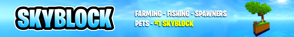 Hyplexia Skyblock banner